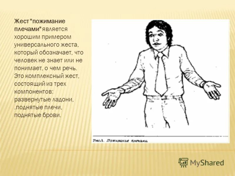 Упорствовать жестикулировать. Жесты плечами. Невербальные жесты пожимания плечами. Пожатие плечами жест. Невербальные жесты пожимания плечами примеры.