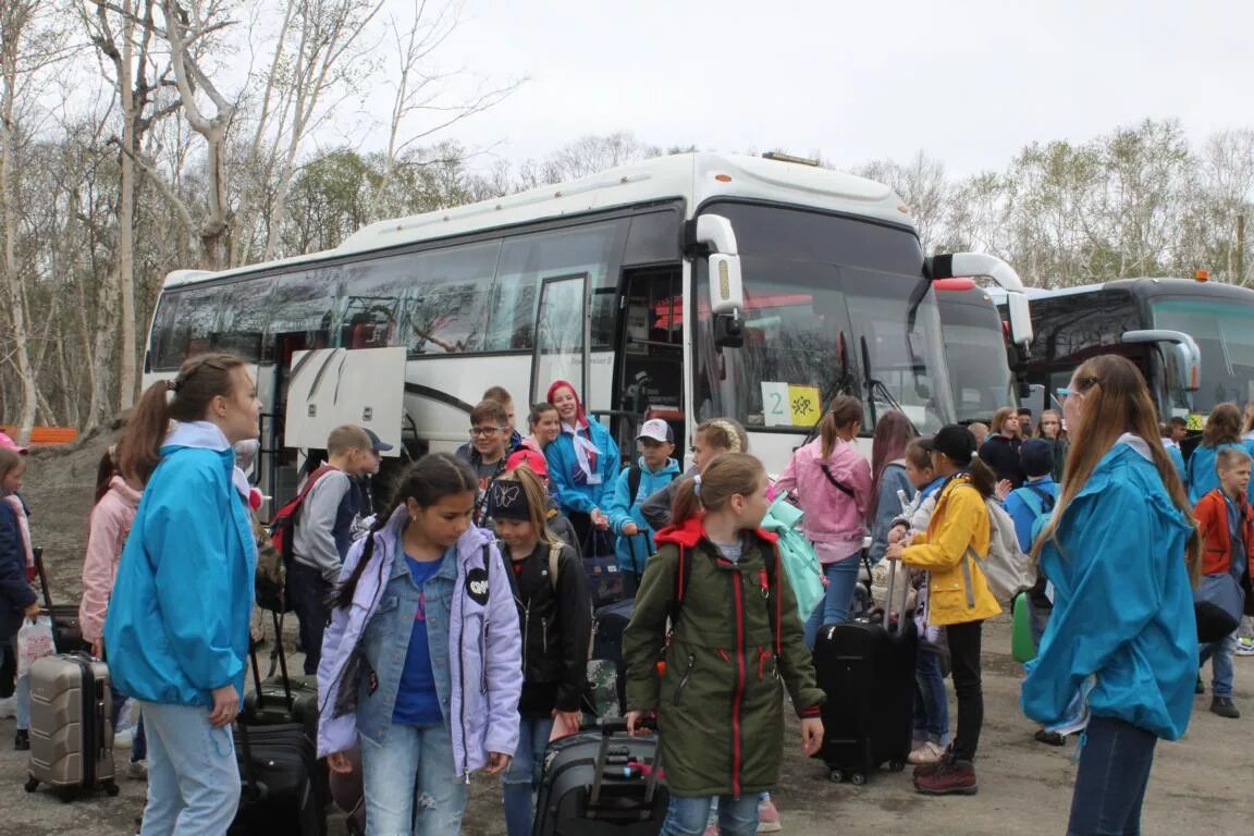 Дол волна камчатка. Альбатрос лагерь Камчатка 2021. Лагерь Альбатрос Петропавловск-Камчатский. Детский лагерь Альбатрос Камчатский край. Лагерь волна Петропавловск-Камчатский 2022.