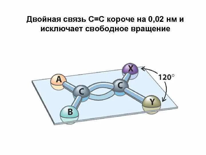 Двойная связь в соединениях. Двойная связь. Связи в двойной связи. Строение двойной связи. Как определить двойную связь.