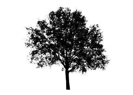 Black And White Tree Silhouette #1421938 (License: Personal Use) .