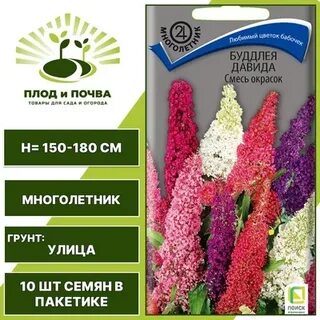 Буддлея смесь окрасок