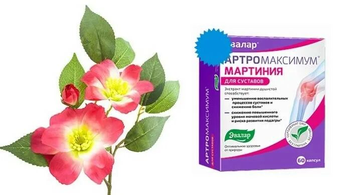 Экстракт мартинии душистой купить капсулы цена. Мартиния душистая экстракт. Мартиния душистая для суставов Эвалар. Эвалар. Артромаксимум Мартиния для суставов. Артромаксимум Мартиния 60 капс /Эвалар/.