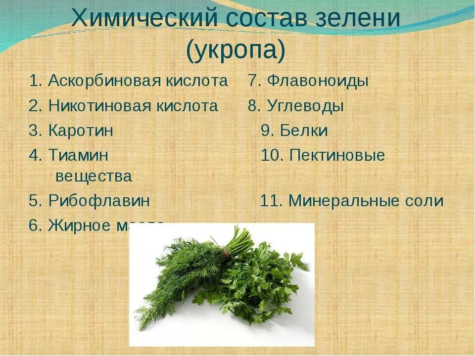 Петрушка химический. Что содержится в петрушке витамины. Петрушка химический. Петрушка химический. Кинза и петрушка отличия.