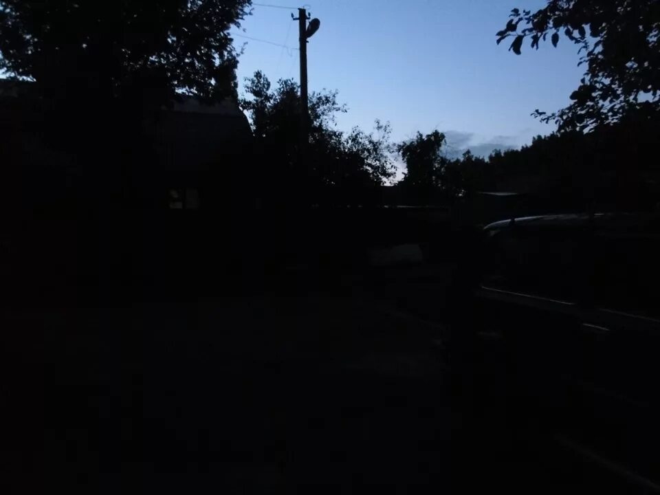 Страшный лес в темноте. Ночь в участке будет жуткой. Жуткое место в лесу. Мрачный дом. Страшный лес.