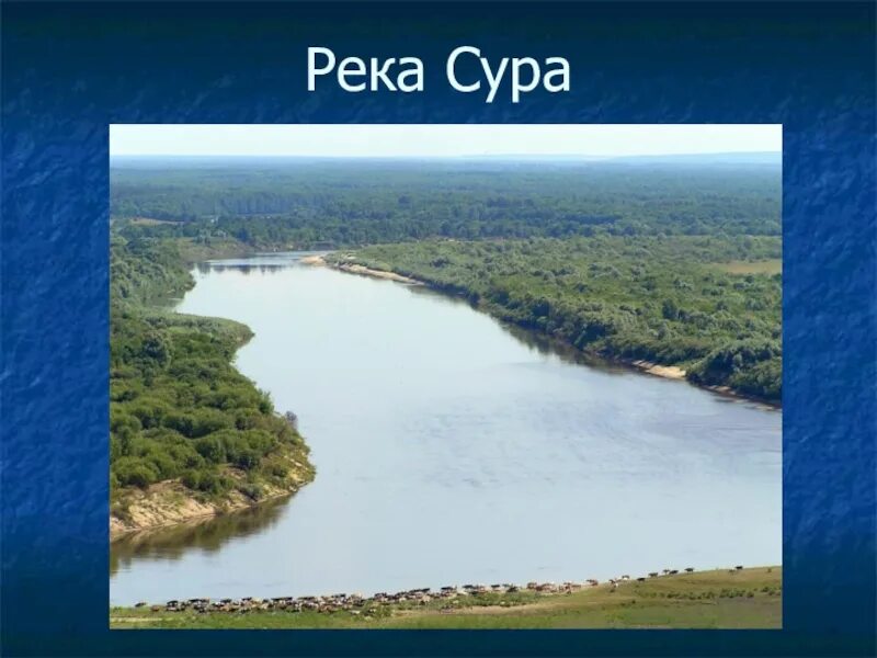 Река Сура Пенза. Сура (приток Волги) реки Мордовии. Река Сура в Мордовии. Река Пенза , приток Сура. Самый большой приток реки волга