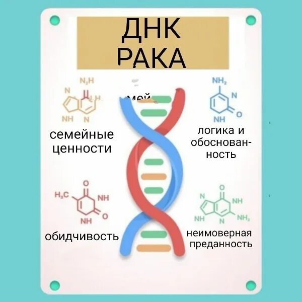 ДНК онкология. Отличие ДНК от онкологии.. Неделя для раков 2024