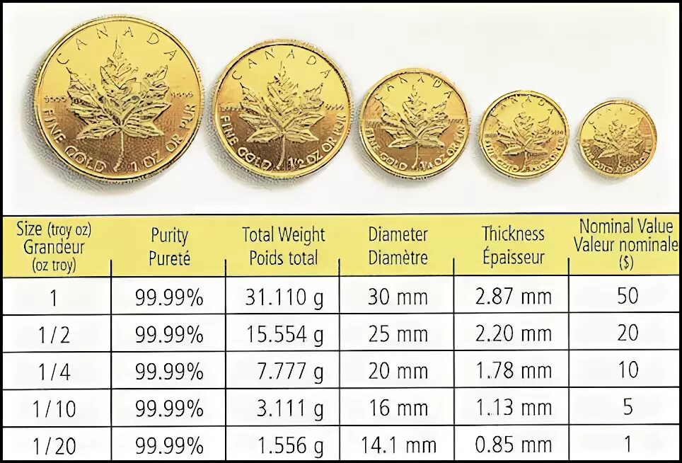 Размер gold. Золотые монеты вес 1 грамм. Вес одной золотой монеты. Золотые монеты размер. Диаметр золотых монет.