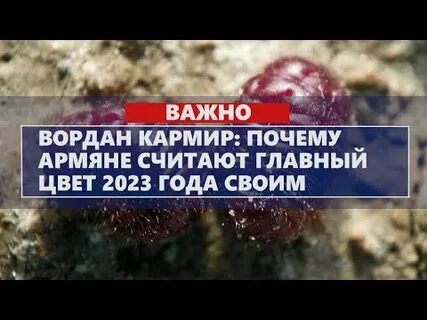 Почему армян считают