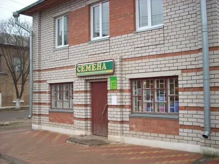 Боровичи пушкинская