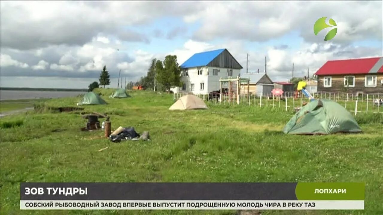 Погода мужи шурышкарский рп5. Село Лопхари Шурышкарский район. ЯНАО, Шурышкарский район, с. Лопхари. Лопхари Шурышкарский район. Экспедиция Зов тундры.