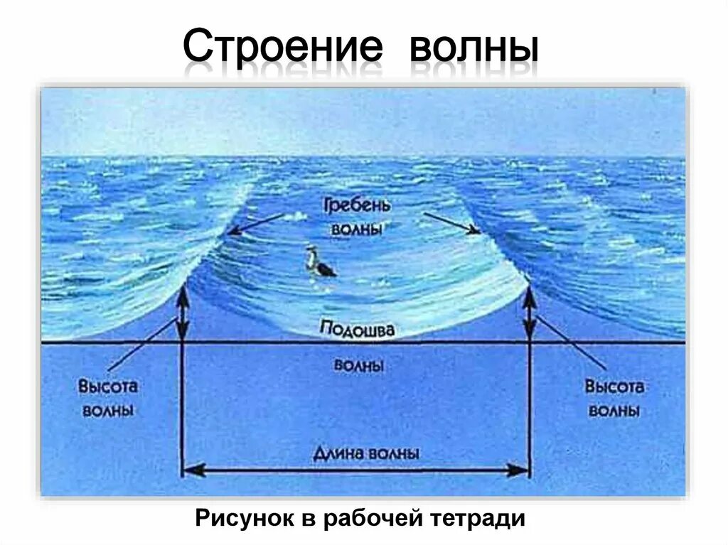 Движение волн. Движение вод мирового океана 6 класс география. Элементы волны. Схема волны. Элементы строения волны.