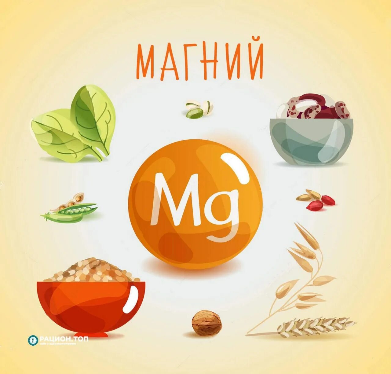 Молекула магния модель. Корел клуб магний. Магний коралловый клуб. Корел клуб магний. Корел клуб магний.