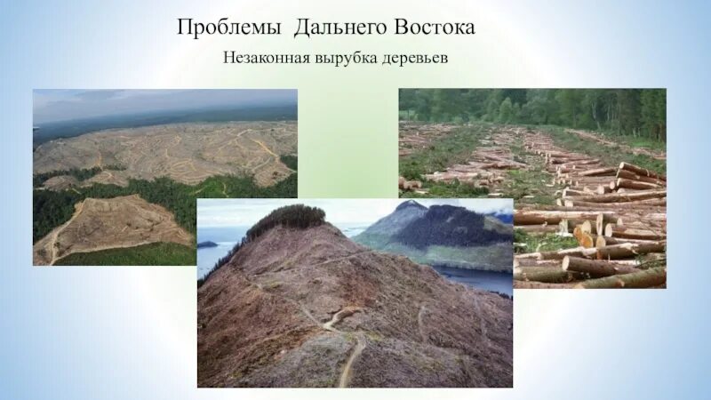 Природные проблемы восточной сибири. Экология дальнего Востока. Проблемы дальнего Востока. Окружающая среда дальнего Востока. Экологическая ситуация дальнего Востока.