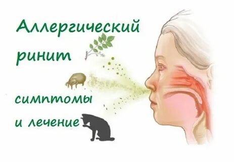 Аллергия век чем лечить