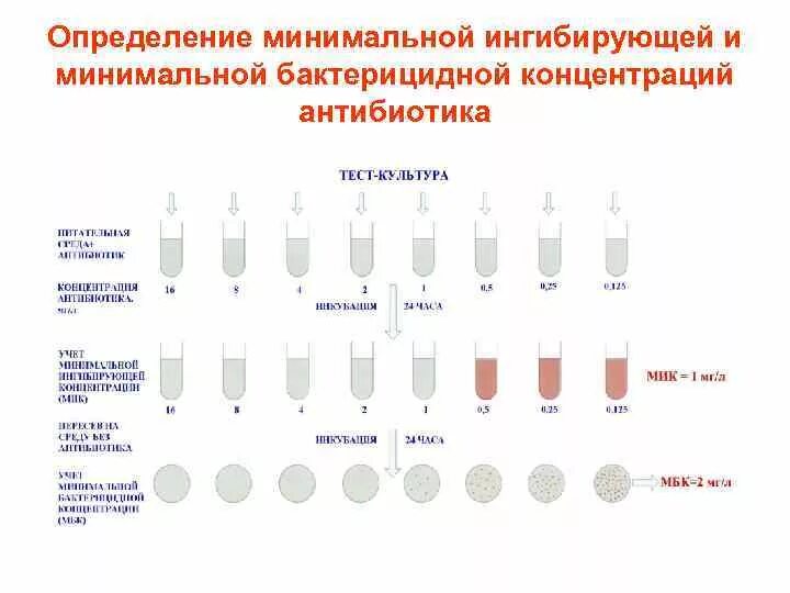 Через сколько сдать кровь после антибиотиков. Определение чувствительности к антибиотикам метод разведений. Чувствительность бактерий методом серийных разведений. Определение минимальной подавляющей концентрации антибиотиков. Разведение антибиотика для определения чувствительности.