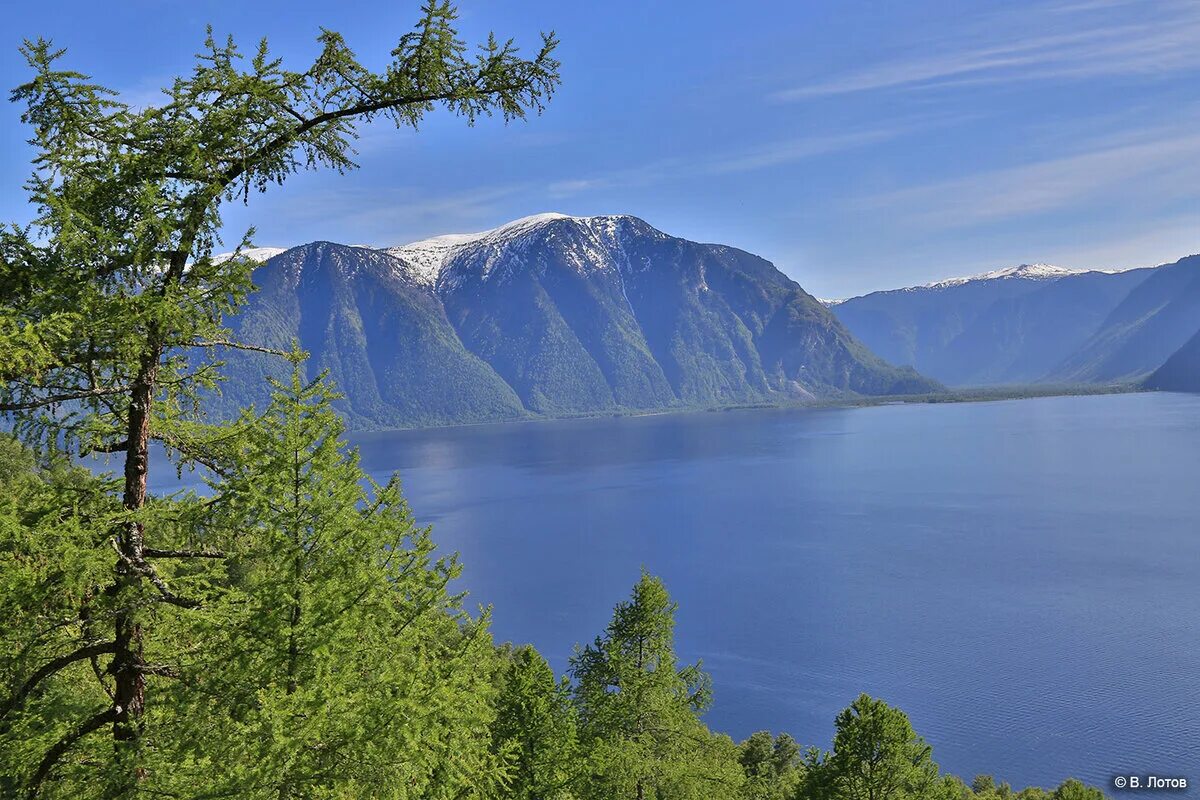 Белинская терраса телецкое озеро. Кордон беле на телецком озере. Кардон беле алтай телецкое озеро. Кордон беле на телецком. Белле алтай.