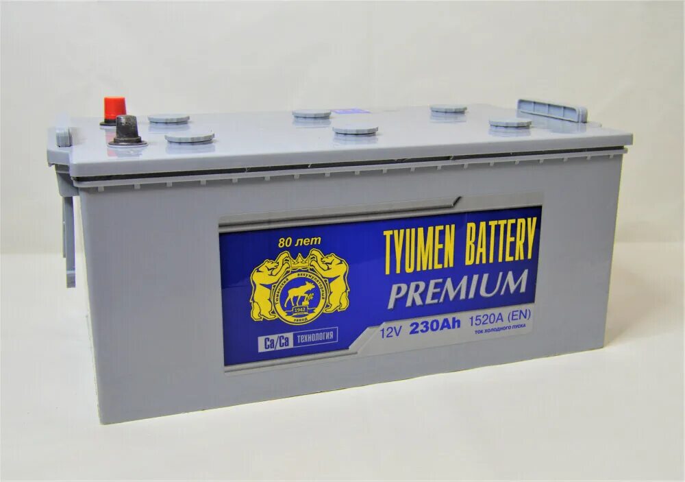 Акб 140 "bravo" о. Тюмень премиум 64 а/ч. Tyumen battery premium 6ст-220lr. Tyumen battery asia 50 а/ч 440а. Тюмень премиум 61 ач.
