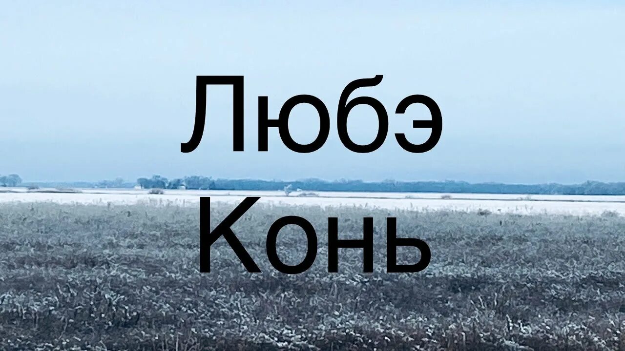 Караоке песня конь со словами. Любэ конь. Конь Любэ караоке. Конь Любэ текст караоке. Любэ конь Постер.