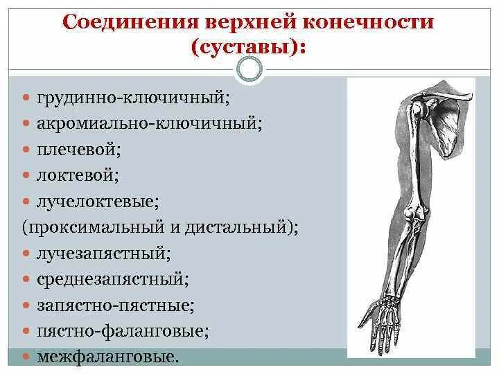 Соединения свободных конечностей