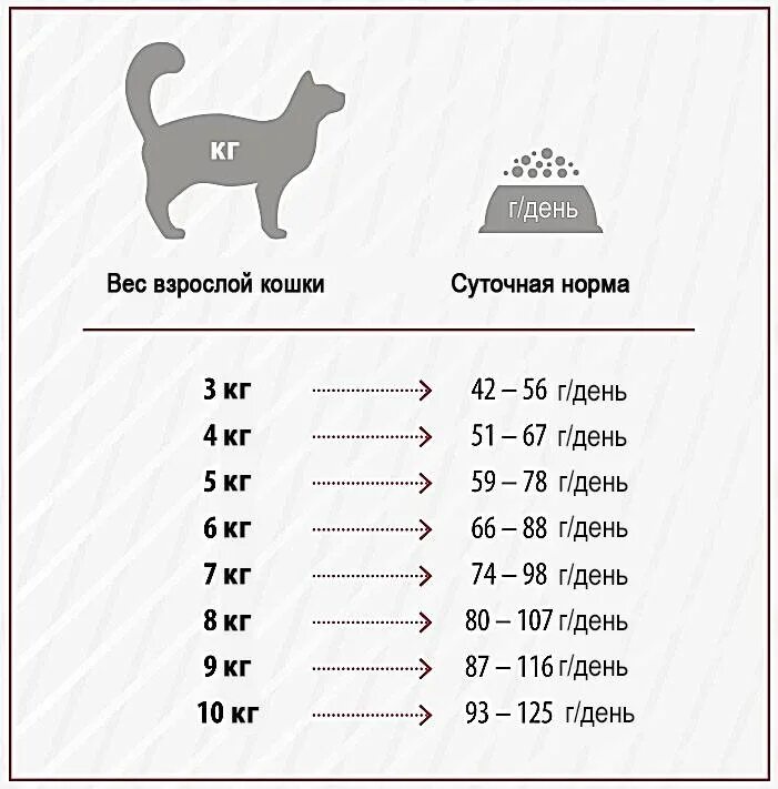 Средний размер кошки. Нормальный вес кошки в 1 год. Норма веса кошки. Среднестатистический вес кота. Норма веса взрослой кошки.