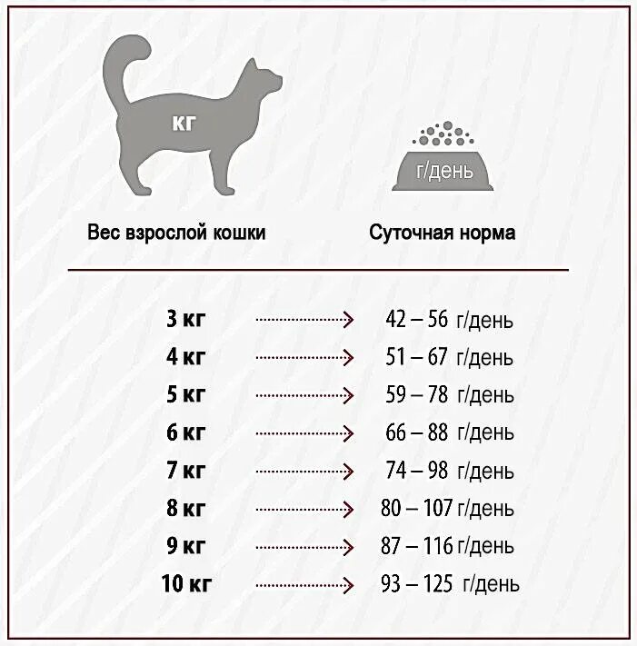 Вес кошки 4 кг. Норма веса кошки. нормальный вес кошки. средний вес взрослой кошки. вес среднестатистического кота.