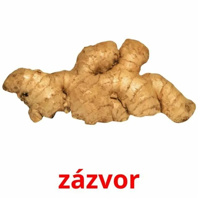 Ginger перевод на русский язык. Имбирь на белом фоне. Ginger перевод на русский язык. Имбирь корневище. Имбирь касумунар.