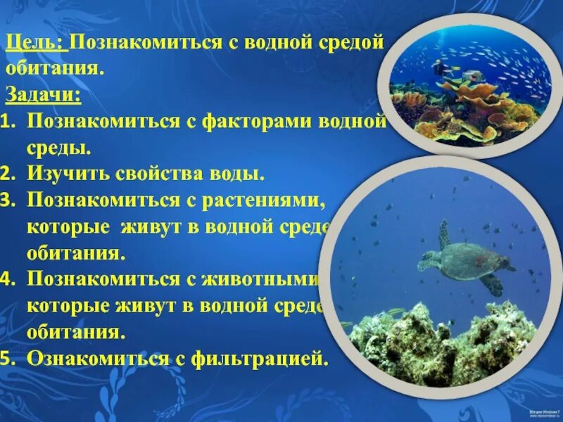 Водная среда ее особенности. Обитатели водной среды обитания. Водная среда ее особенности. Обитатели водной среды обитания. Основные характеристики водной среды.