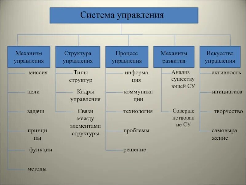 Структуры видов 16