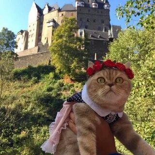 That travels