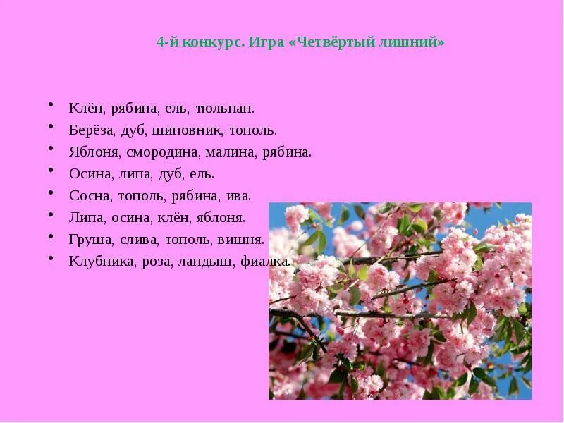 Когда листопад у берез заканчивается лип. Клен рябина ель тюльпан. яблоня, смородина, малина, рябина. клен рябина ель осина четвёртый лишний. когда заканчивается листопад у лип.