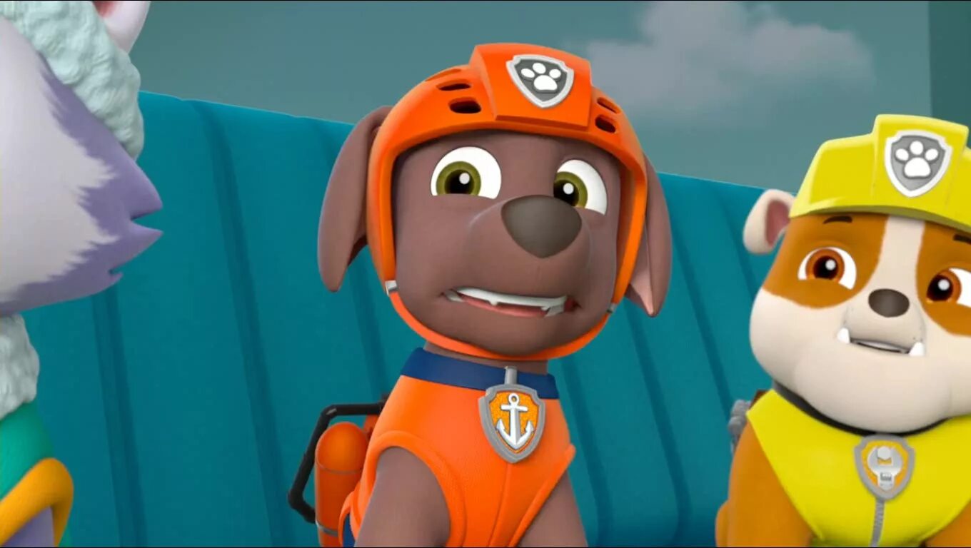 Какого пола зума из щенячьего. Щенячий патруль. зума. paw patrol zuma. щенячий патруль. гончик и зума. щенячий патруль щенфу.