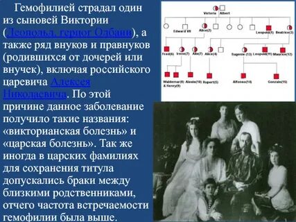 Страдающий гемофилией