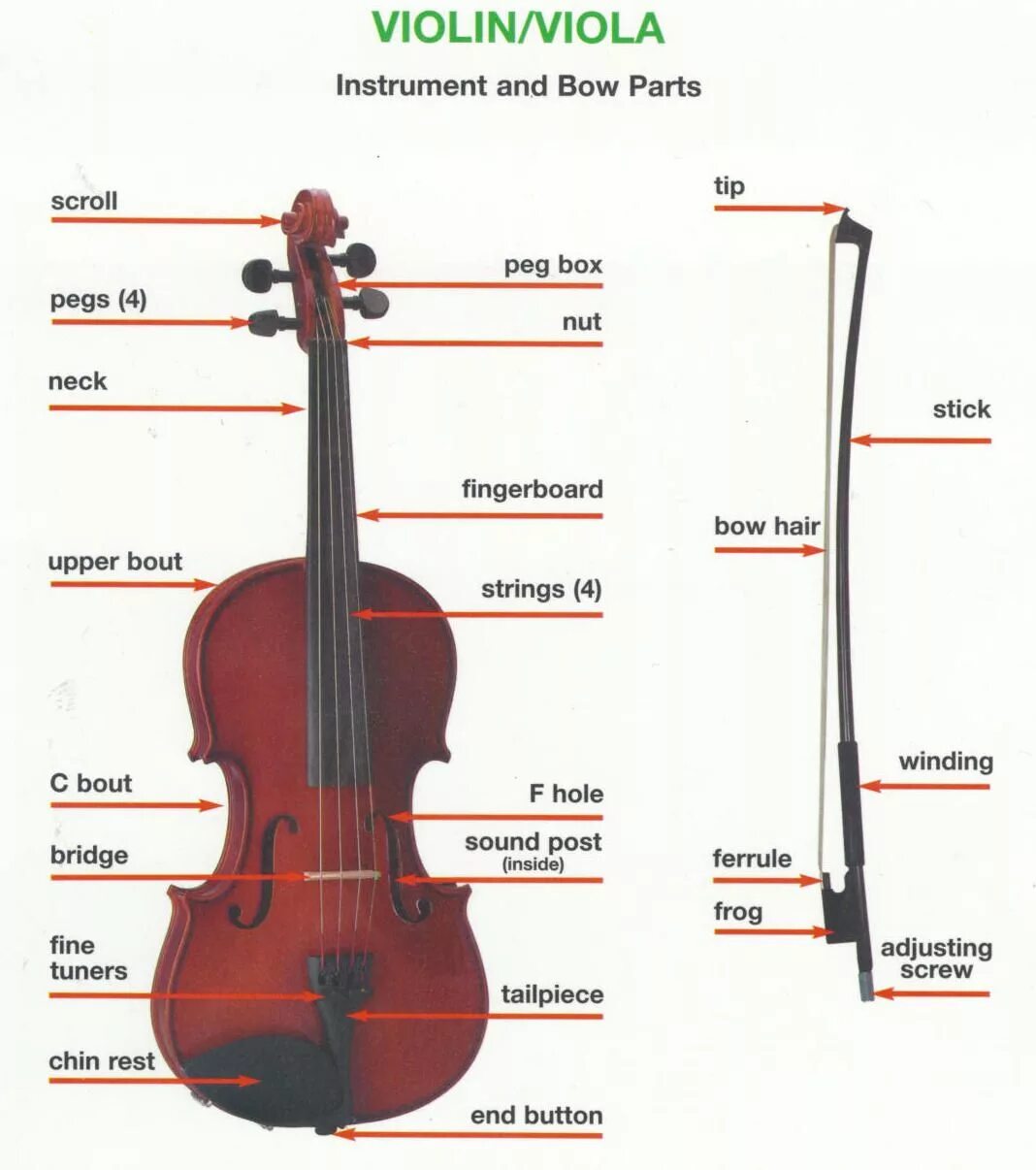 Violin Parts. Виола карманная инструмент. Виола инструмент схема. Parts of Violin and Bow. Viola перевод песни