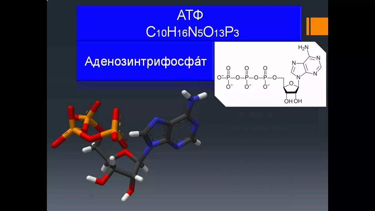 Атф 30. АТФ. Молекула АТФ. АТФ аденозинтрифосфат. Химическая структура АТФ.