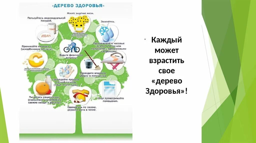 У растений активный образ жизни или нет. Дерево здоровья. Дерево здоровья для дошкольников. Дерево здоровья в школе. Плакат дерево здоровья.