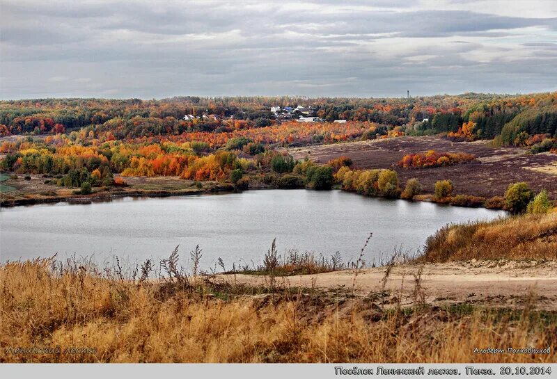 Ветром пруда. Пруд ветерок верхний пенза. Ветром пруда. Сибирский тростник фото. Пенза озера ветерок.