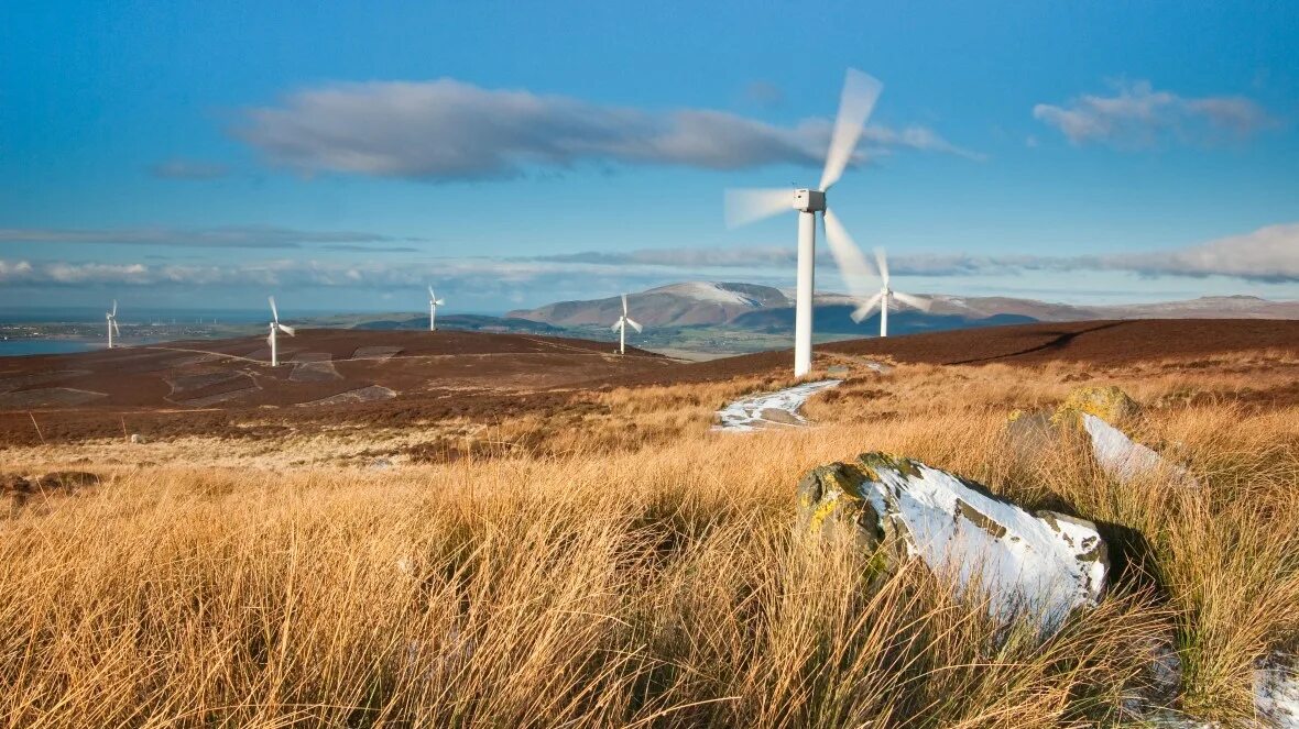 Das wind. The wind. uberholt wind. warm wind d2. wind meaning.