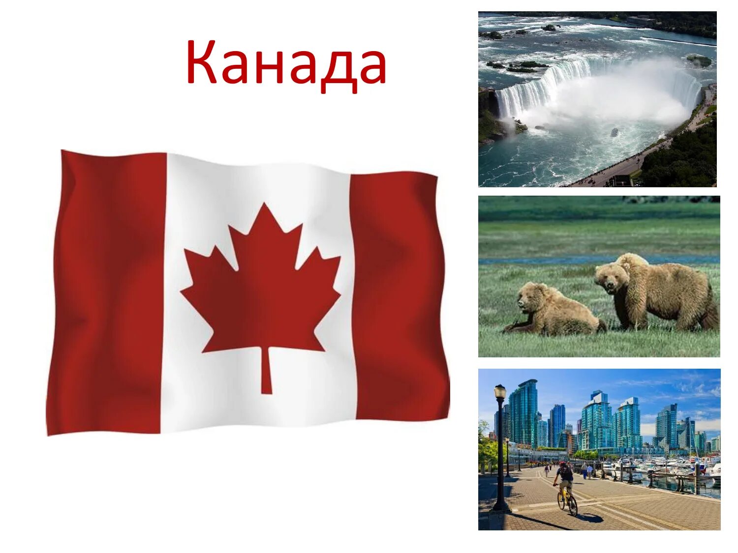 География Канады. Канада коллаж. Интересные факты о Канаде. География для детей Канада.