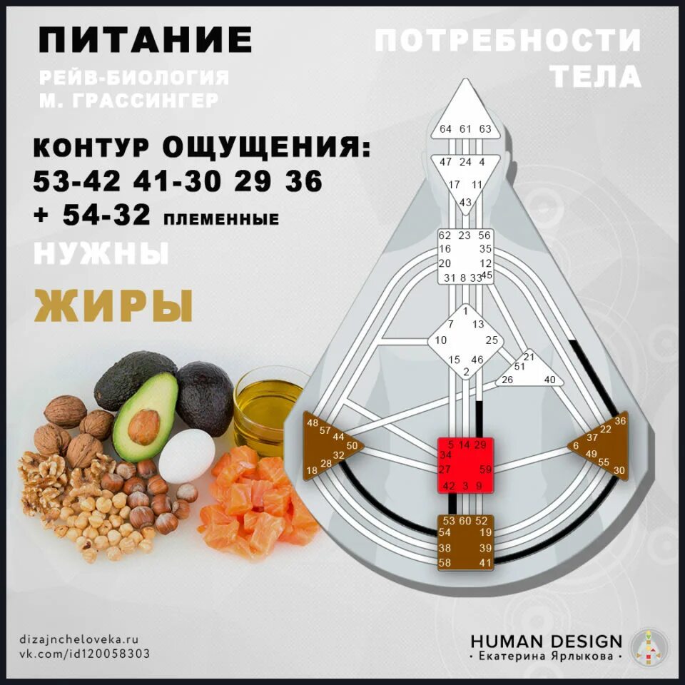 Мотивация дизайн человека. Тип питания дизайн человека. Дизайн человека. PHS дизайн человека. Дизайн человека еда.