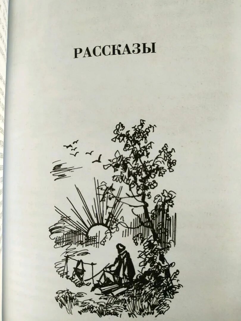 Читать паустовский мещерская. Мещерская сторона иллюстрация к главе леса.