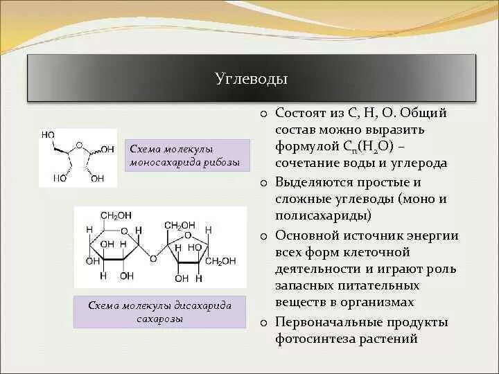 Рибоза группа углеводов. Простые углеводы состоят из. Молекулы углеводов состоят из. Из чего состоят углеводы схема. Рибоза свойства