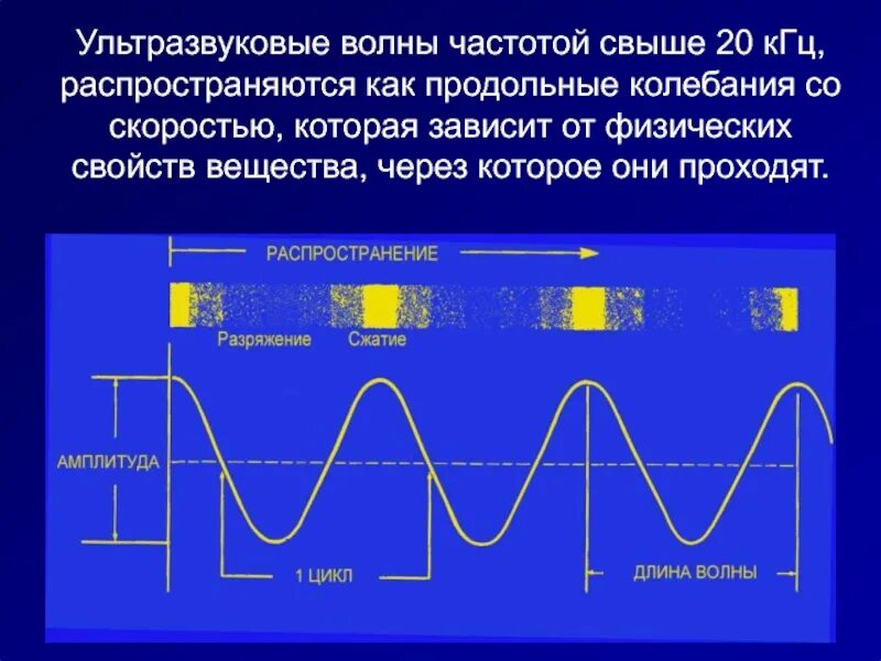 Продольные ультразвуковые волны. Ультразвуковые колебания длины волн и частоты. Ультразвуковые волны физика свойства. Ультразвуковые волны частота.