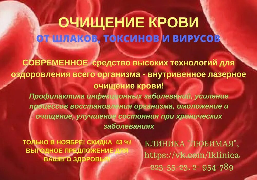 Орган отвечающий за очистку крови. Очистка крови от токсинов. Как очищается кровь в организме. Как очистить кровь от токсинов.