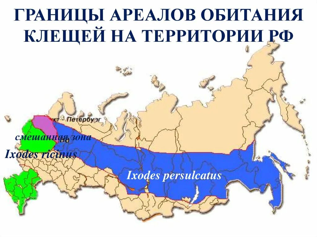 Где водятся энцефалитные клещи. Ареал обитания клеща в России. Ареал распространения энцефалитных клещей в мире. Ареал обитания энцефалитного клеща в России карта. Карта распространения иксодовых клещей в России.