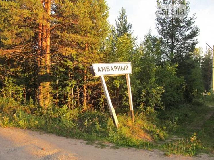 Погода в амбарном лоухский. Поселок Амбарный Карелия. Пенинга Карелия Муезерский район. Амбарный поселок Карелия Лоухский район. Республика Карелия поселок Волома.