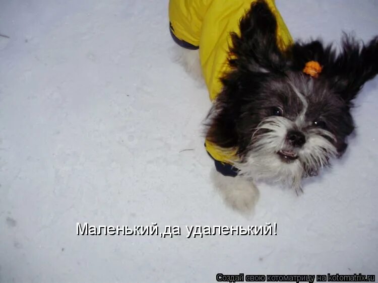 Маленький да удаленький в какой ситуации