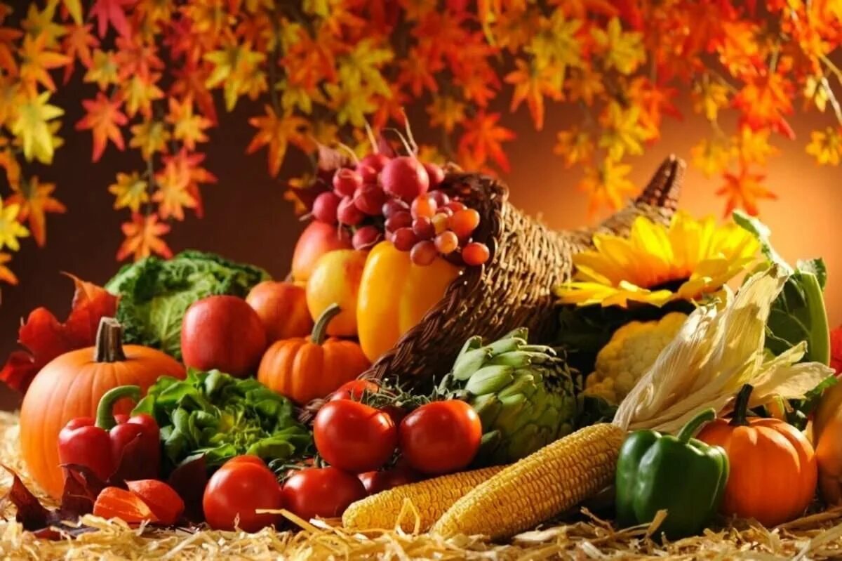 Дары осени. Осенний урожай. Осень овощи. Овощи и фрукты осенью. Осеннее богатство