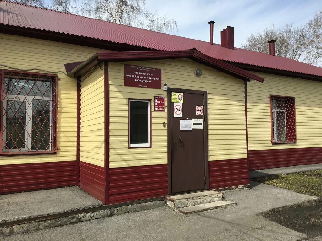 ветклиника зоодоктор екатеринбург. ветеринарная клиника феликс кемерово. прокопьевск улица яворского 22 ветеринарная клиника. зоодоктор прокопьевск шишкина. ветеринарная клиника залари.