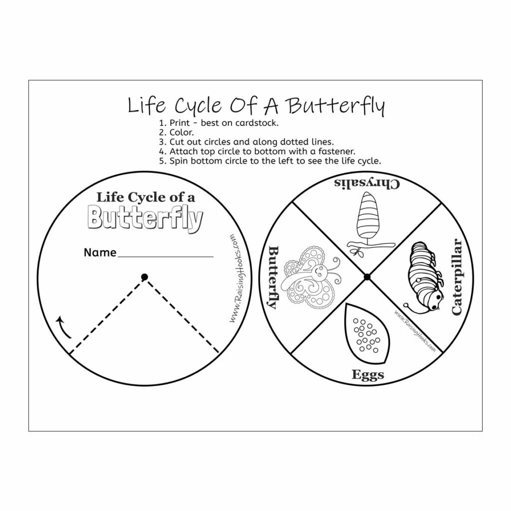 Life is circle. Butterfly Life circle. Life Cycle of a Butterfly Worksheets. Butterfly Cycle Worksheets. Life Cycle of a Butterfly.