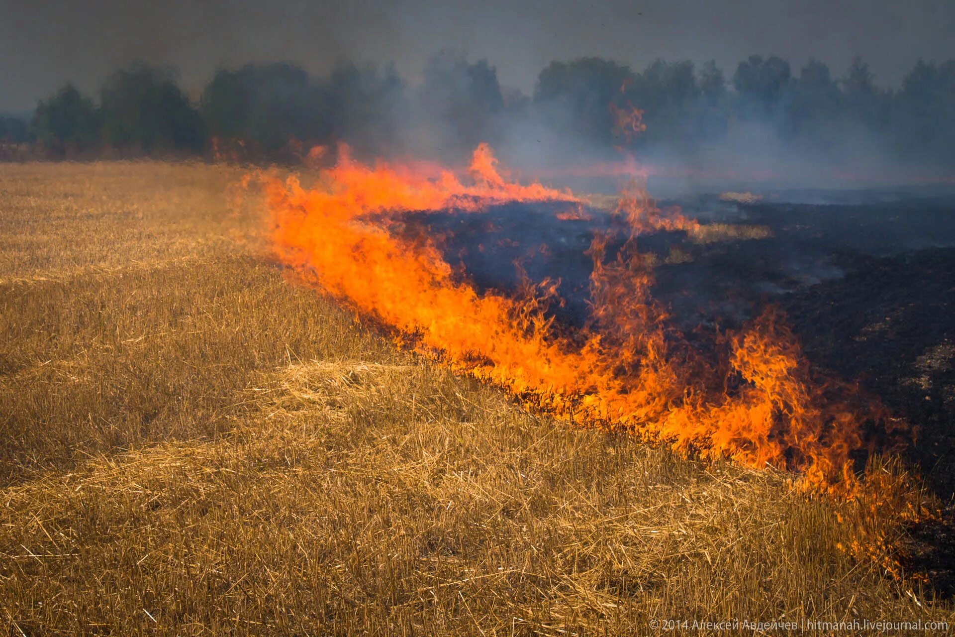 Горящее поле. Пожар в поле. Выжигание сухой травы. Поджог поле. Пожары.